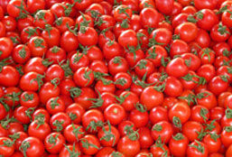 服务器攻击软件