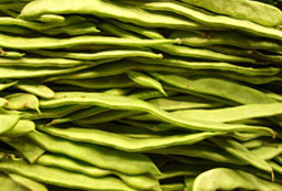 在线教育平台的在线DDOS压力测试网页端