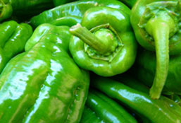 免费ddos攻击网页端