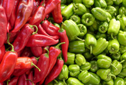 安卓ddos攻击工具